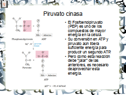 Slide 28