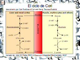 Slide 33