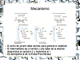 Slide 7