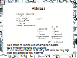 Slide 10