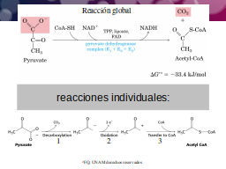Etapas de la reacción