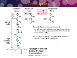 Lipoato
