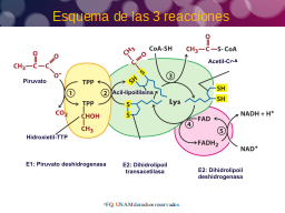 Esquema resumen