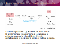 PDH reacción global