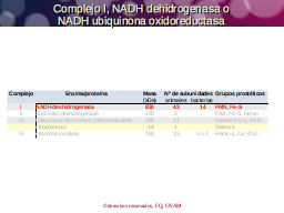 Complejo I
