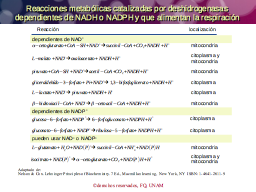 Producción de NADH y NADPH