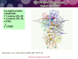CI-region soluble