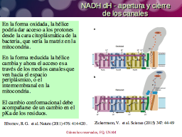 NADH dH apertura de los canales