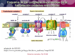 Vision ce conjunto de la respiración