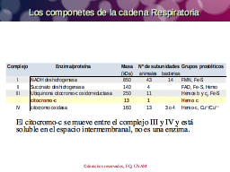 Los componentes