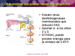 Otras oxidasa mitocondriales