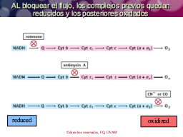 Efecto de los inhibidores