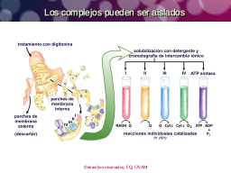 Ailamiento de los complejos