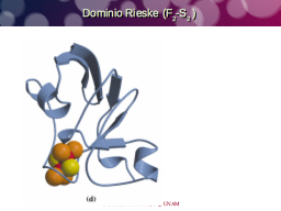 Centros Rieske