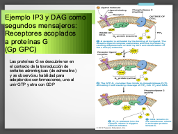 Diapo  12