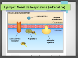 Diapo  18