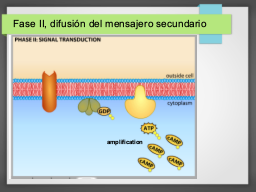 Diapo  23