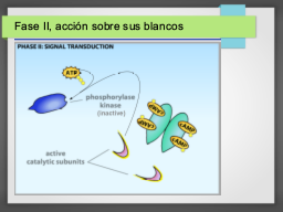 Diapo  26