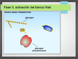 Diapo  29