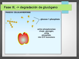 Diapo  31