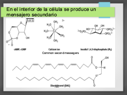Diapo  7