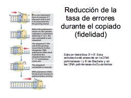 Fidelidad