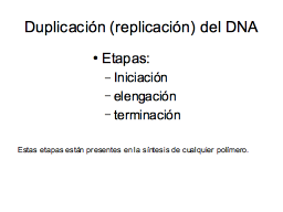 Proceso de la duplicación