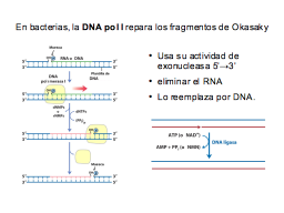 Reparación de los fragmentos