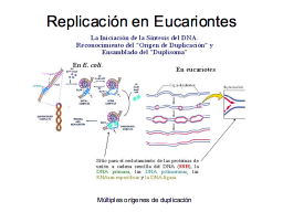 Diferencias en la inicición en Eucariotnes