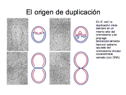 Origen de duplicación