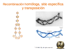 Slide 11