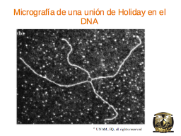 Slide 13