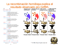 Slide 15