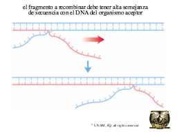Slide 16
