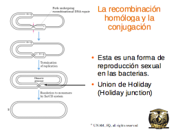 Slide 17