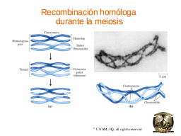 Slide 18