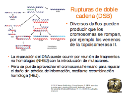 Slide 19