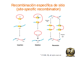 Slide 20
