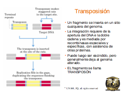 Slide 21