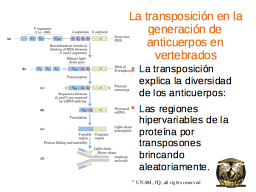 Slide 22