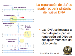 Slide 7