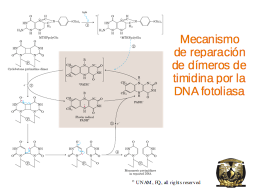 Slide 10