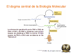 El dogma central de la Biología Molecular