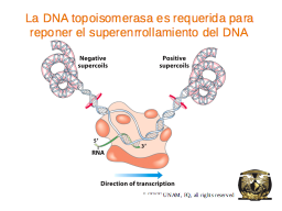 Slide 11