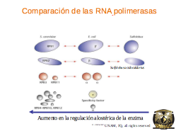 Slide 12
