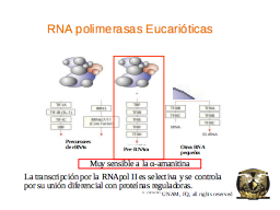 Slide 13