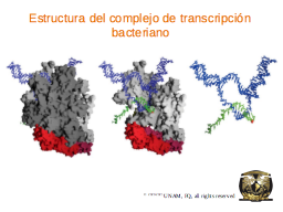 Slide 15