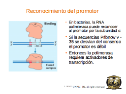 Slide 17