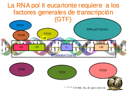 Slide 19