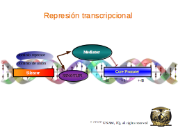 Slide 21
